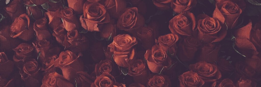 sguuu33's profile banner image