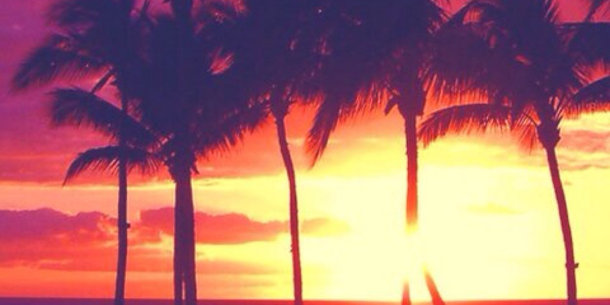 danielchamoun's profile banner image
