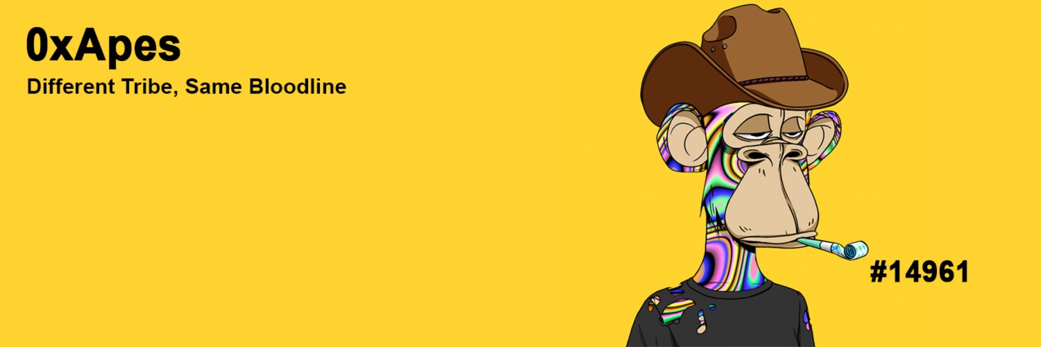 NFTSund's profile banner image