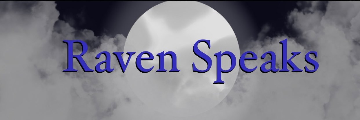 RavenSpks's profile banner image