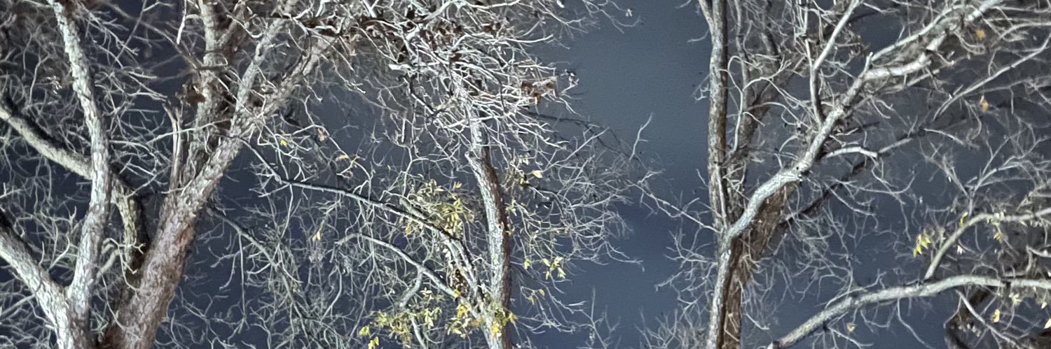 Mr troublemaker banner