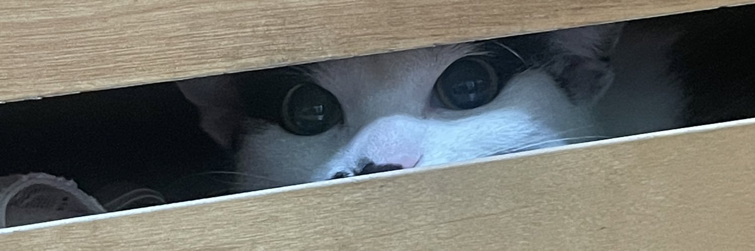PlayboyLeonel's profile banner image