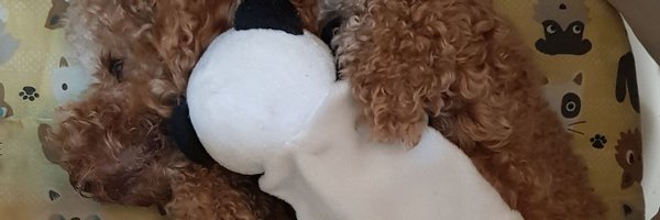 PPABCA33's profile banner image