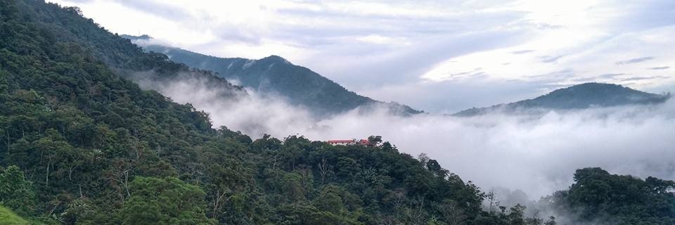 Samuel Jefferies banner