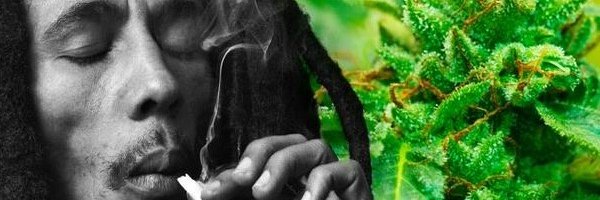 Happy_High_PRO banner