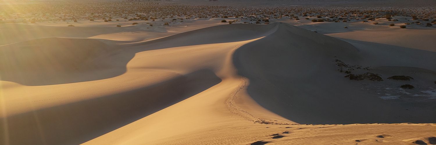 ianfenty's profile banner image