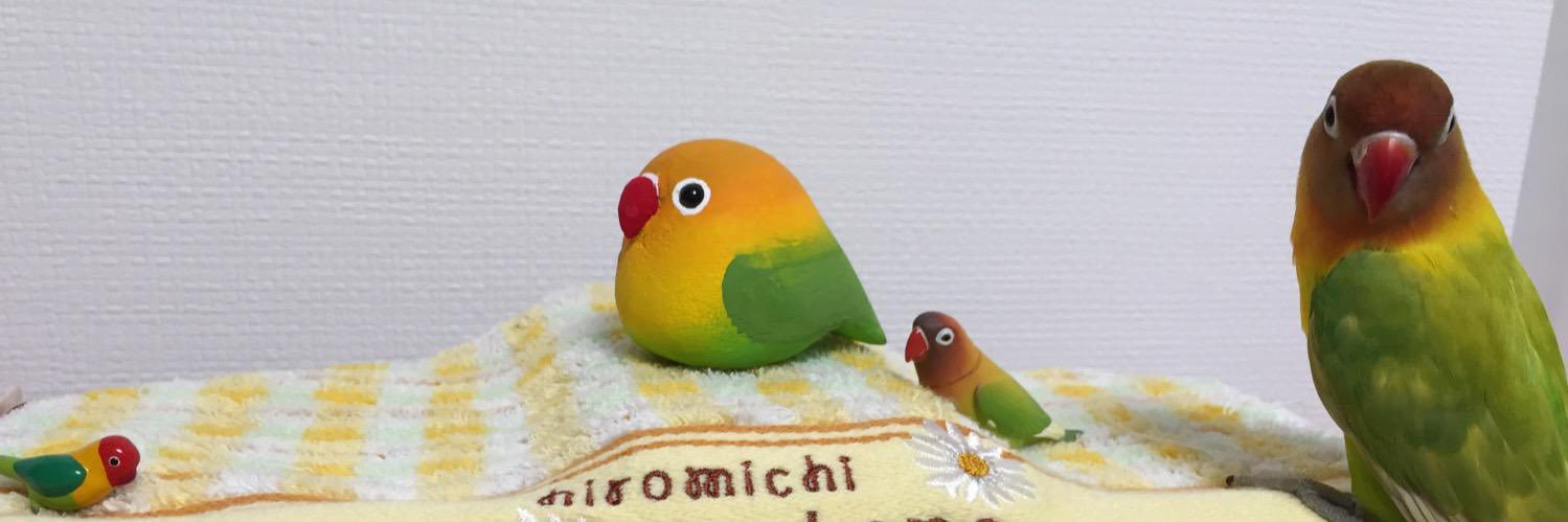 bird_buttoncute's profile banner image