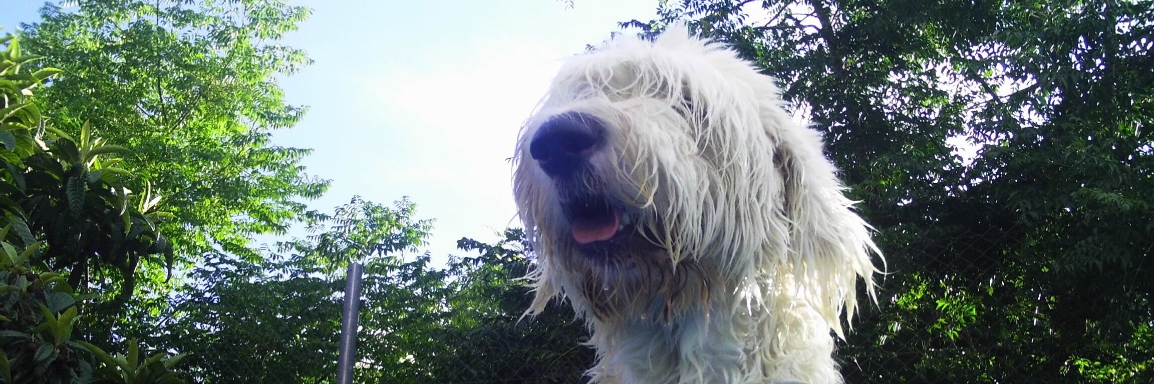 robizen's profile banner image