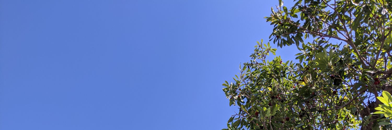a_michimoto's profile banner image