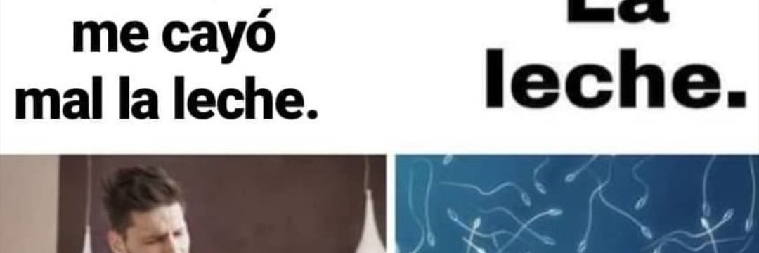 morbobarecl's profile banner image