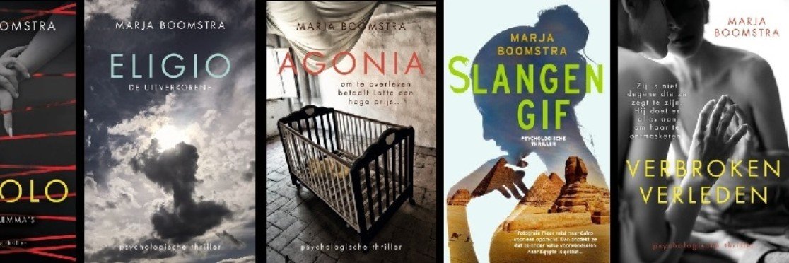 Marja Boomstra banner