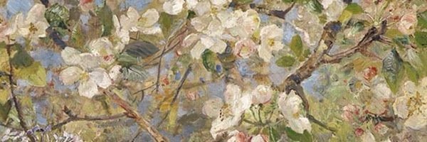 hassapeeji Profile Banner
