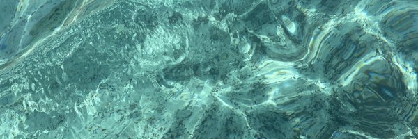 CateSposetti Profile Banner