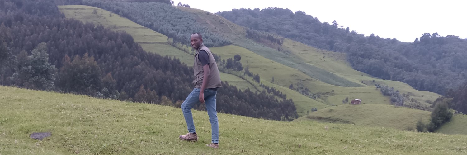 danielntwari's profile banner image