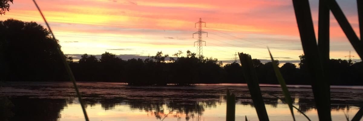 weldon_martin's profile banner image