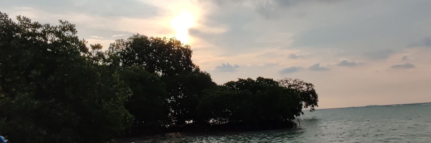 danitimur_'s profile banner image
