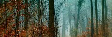 samyarramandi_7's profile banner image