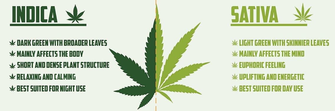 💚𝑯𝒊𝒈𝒉𝕋𝕨𝕖𝕖𝕕𝕤.eth💚 banner