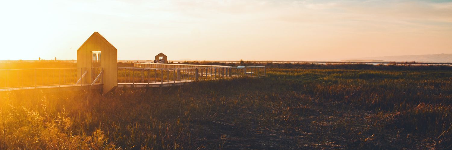 jish_r's profile banner image