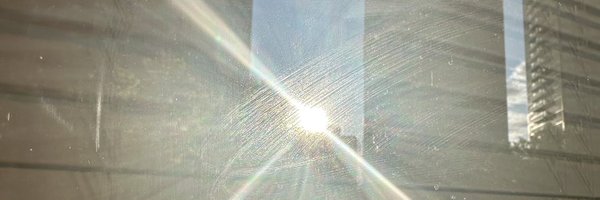 DinaPugliese Profile Banner