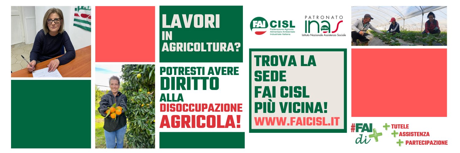faicislbas's profile banner image