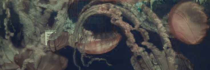 Not_urDucky's profile banner image
