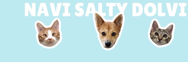 Salty_and_Navi Profile Banner