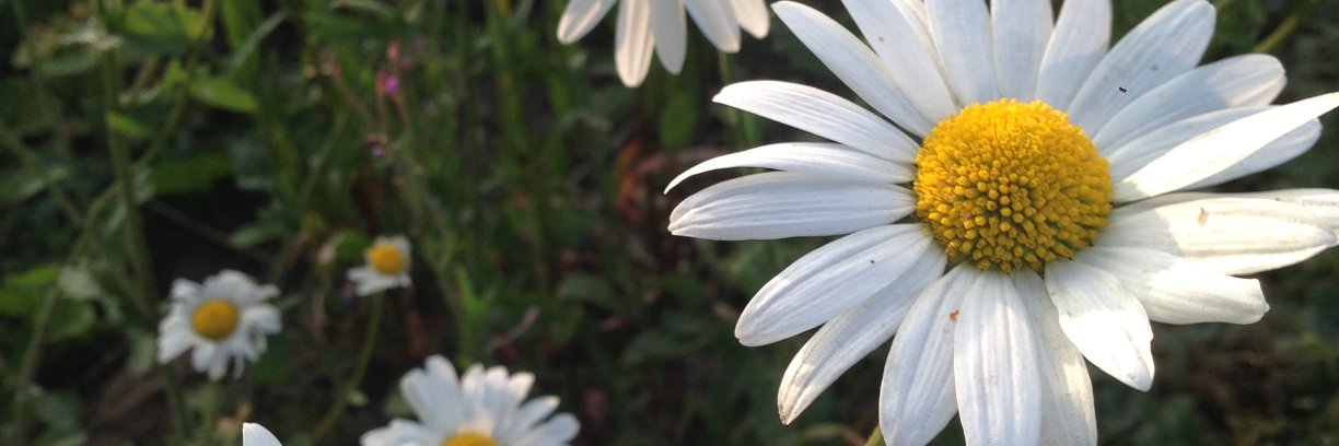 jacjordan_'s profile banner image