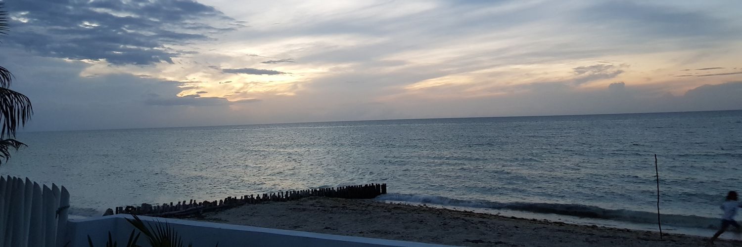alkp0ne's profile banner image
