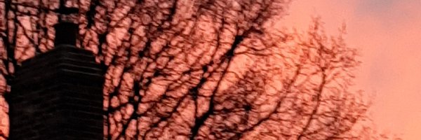 Jolou Profile Banner