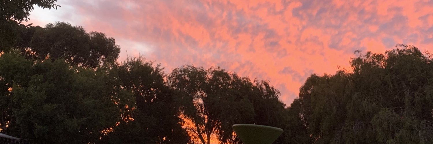 HippyFranky's profile banner image