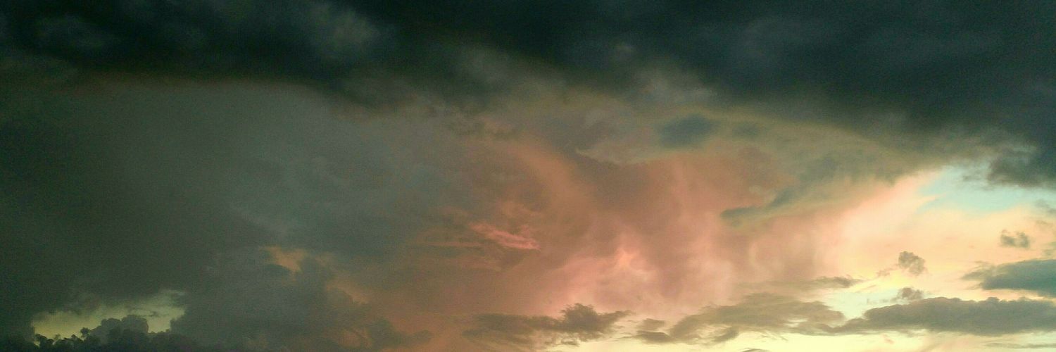 sandrazing71's profile banner image
