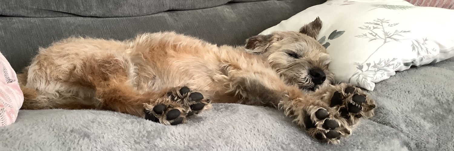 TedBorder's profile banner image
