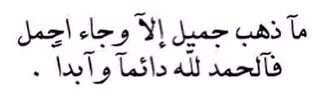 amal_alshamlan's profile banner image
