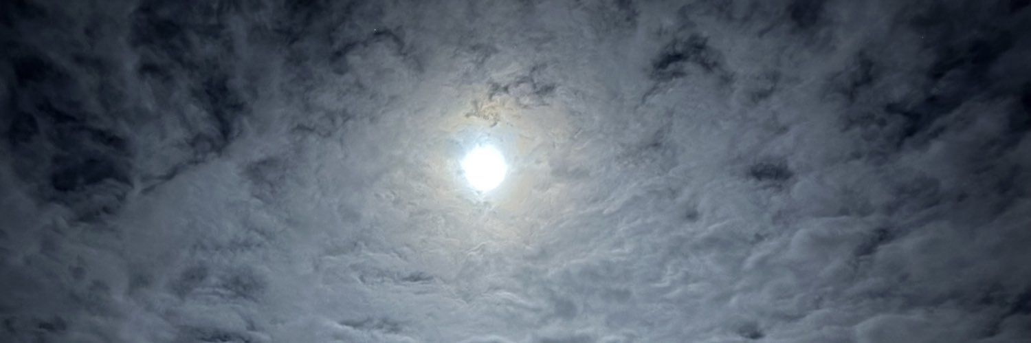 Kane Sandoval banner