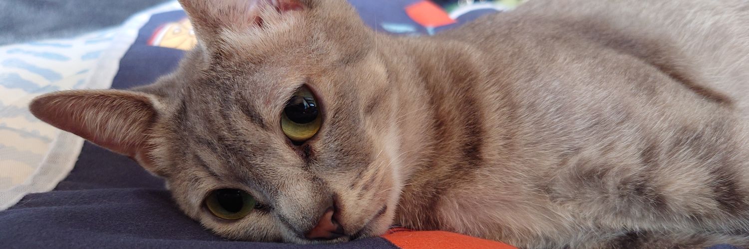 すぱいらる banner