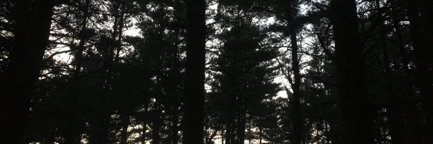 Cathy MalcolmEdwards banner