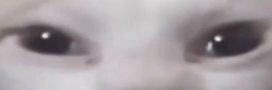 MeMeLord banner