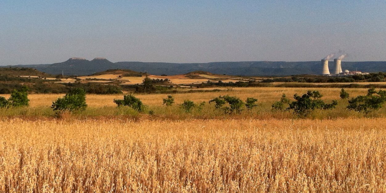 David Saceda Corralo banner