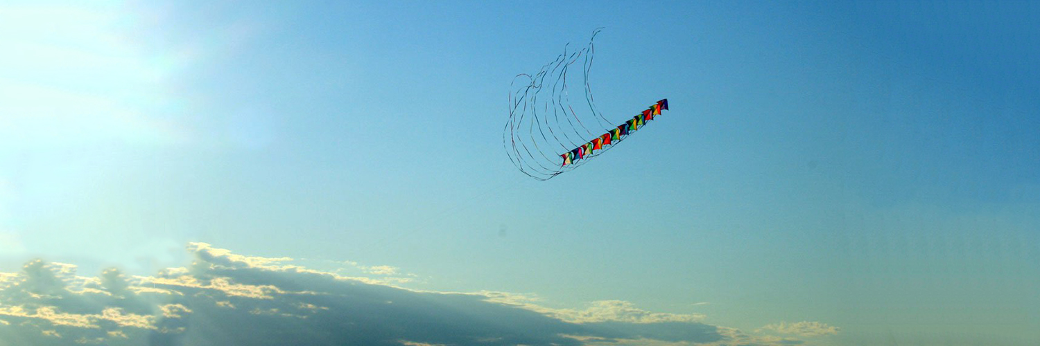 WSLoughlin's profile banner image