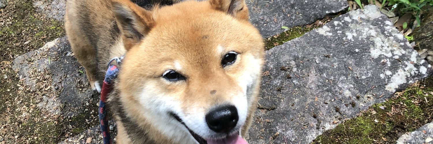 massu_com's profile banner image