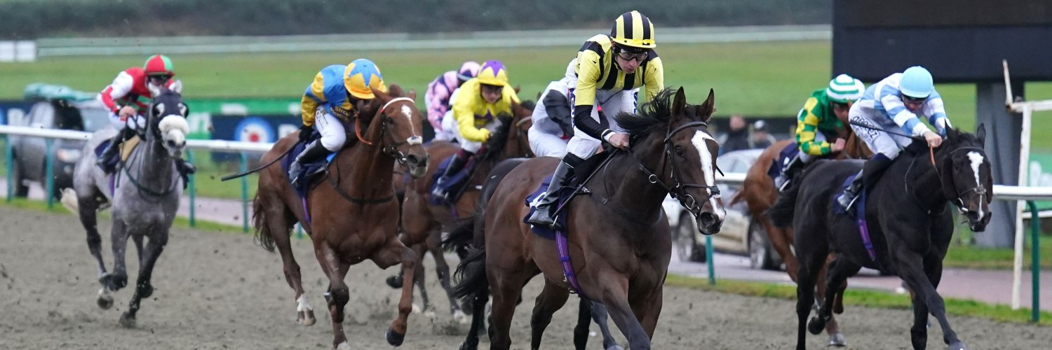 Lingfield Park banner