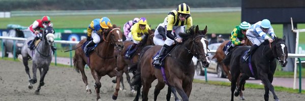 LingfieldPark Profile Banner