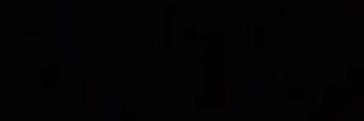 RAm POthineni banner