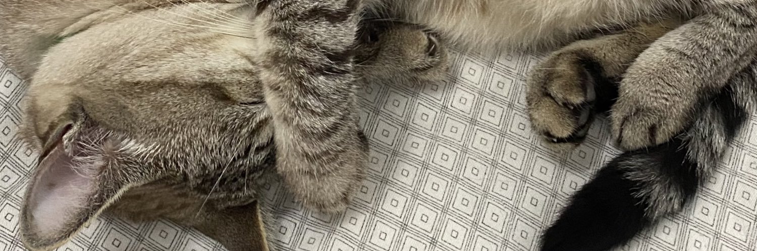 narcisoluuis's profile banner image