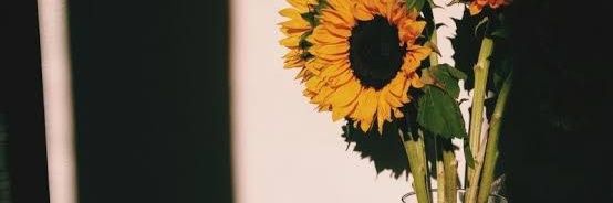 fiannnnrr's profile banner image