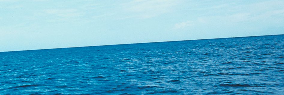 andru3009's profile banner image