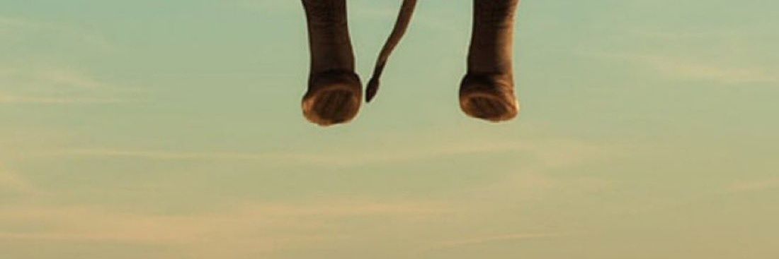 Ayeenla's profile banner image