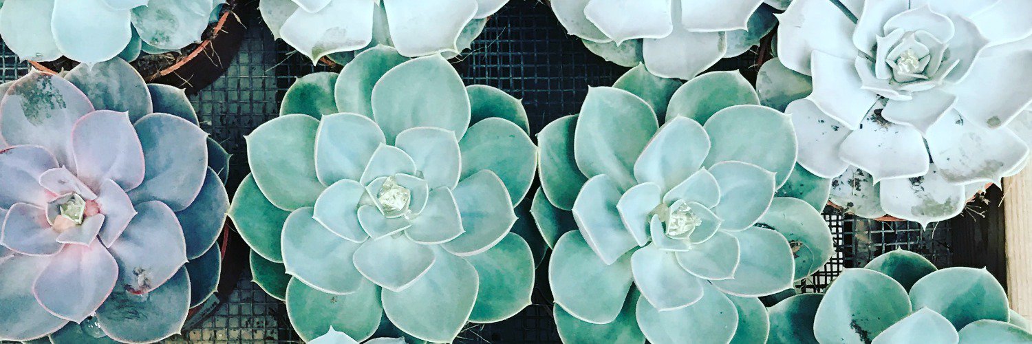 Kelly_Weekes's profile banner image