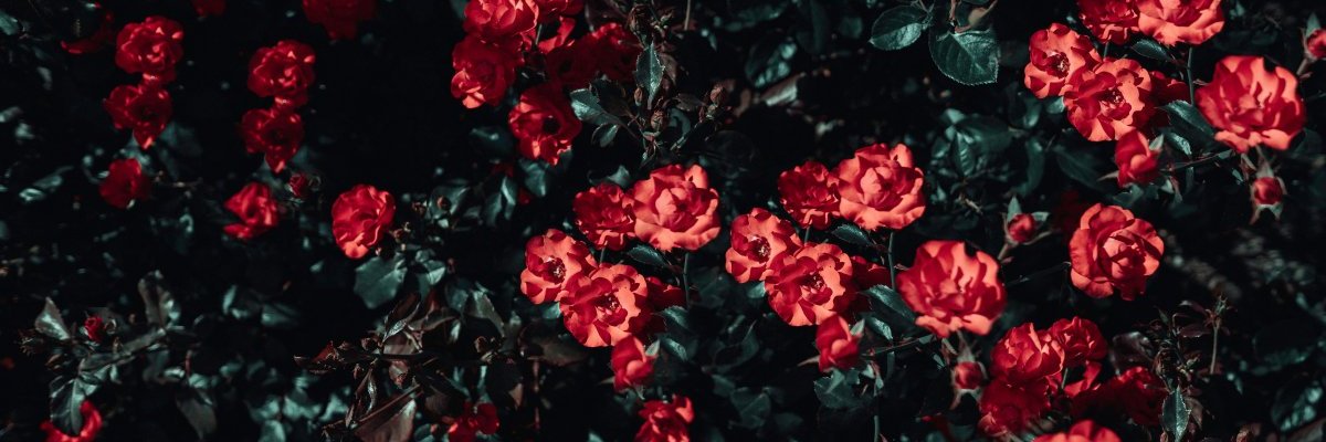 TheQuestion67's profile banner image